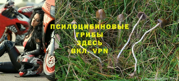 спиды Горно-Алтайск