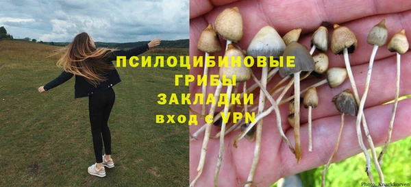 спиды Горно-Алтайск