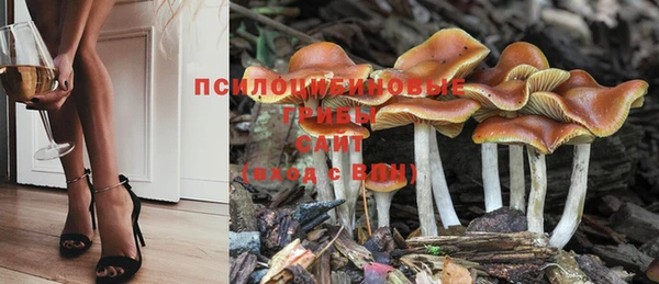 мдма Горнозаводск