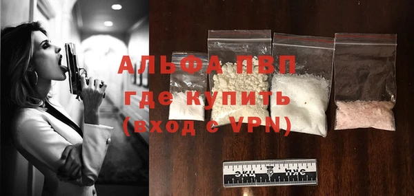 спиды Горно-Алтайск